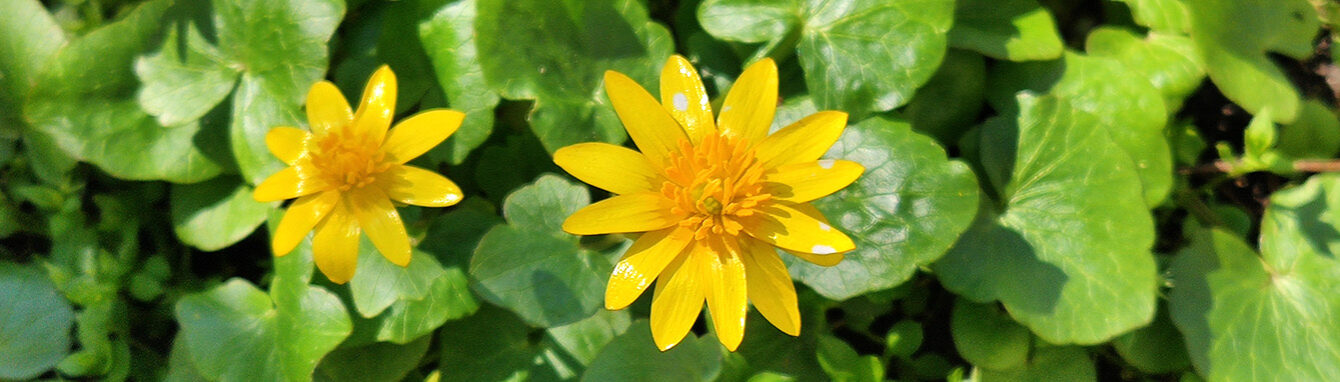 Блог о здоровом образе жизни